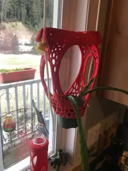 Heart shaped plant hanging system - Veroni-ized