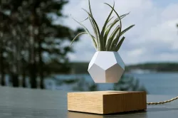Levitating Planter