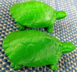 Mr & Mrs Turtle (Adult) Surprise Underside