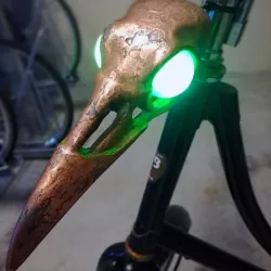 Raven skull bicycle light