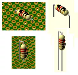 Resistor 1/4W,1/2W,1W