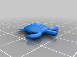 sea turtle