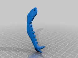 Solas' wolf jawbone necklace