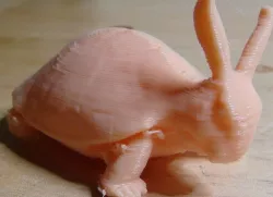 Turtle Hare