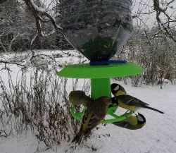 XXL Robust Bottle Bird Feeder with Filling Funnel