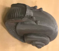 Caracol