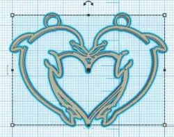 dolphin heart - coeur de dauphin