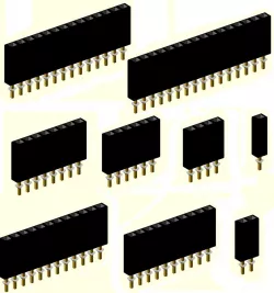 Female Dupont connector