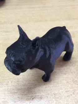 French Bulldog
