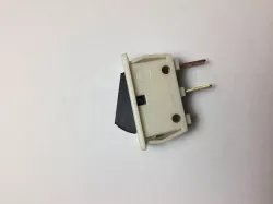 Interruptor