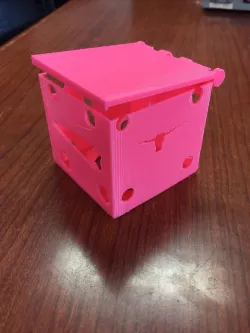 Pink Western Box