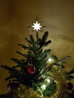 Shinning christmas tree star