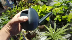 Small Watering Can