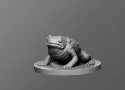 Toad