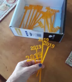 2019 New Years Party Picks and Swizzle Sticks