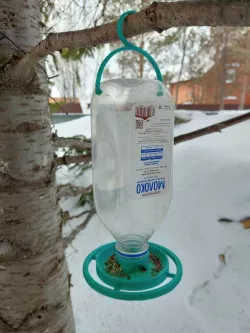 Bird feeders