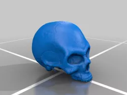 Half Skull