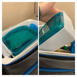 Igloo MaxCold Hinged Cooler/Lunchbox Container