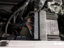 LS1 LS6 Delphi connector cover