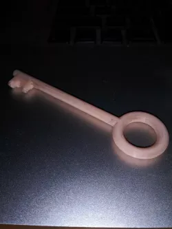 simple skeleton key 
