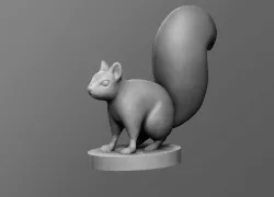 Squirrel