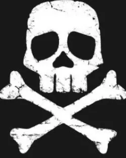 Captain Harlock space pirate skull 