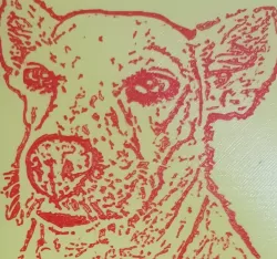 Cara perro 2