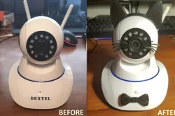 Cat or Baby Cam Modification