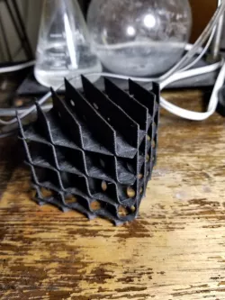 Developing D-type Minimal Surface 