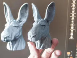 Kangaroo Head (Commission Example)