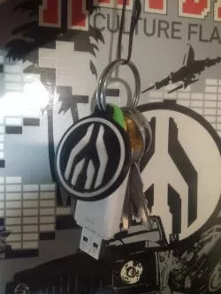 Mayday logo key chain