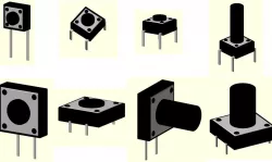 Micro push button model
