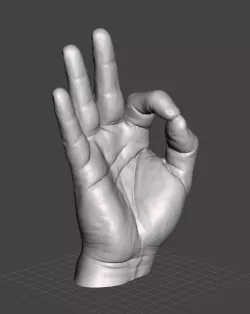 Right Hand Model