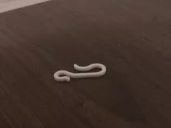 Shower Curtain Hook