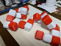 Snake Puzzle