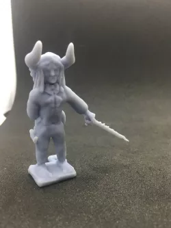 Tiefling Bard wielding Rapier/bow