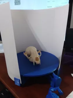 $0.16 Backdrop for $3.47 3D Scanner