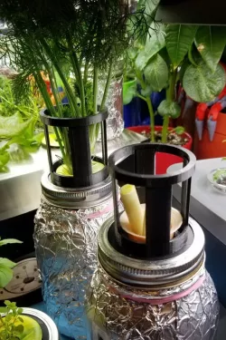 AeroJar with plant support