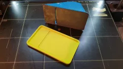 Balsa plane protector