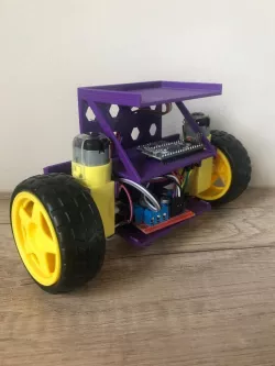 Customizable Self Balancing Arduino Robot ( Easy to Print)