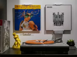 dmount for vinyl