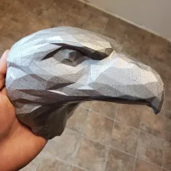 Eagle Head Edit (low poly)