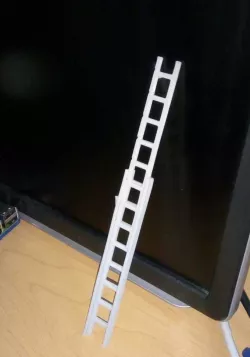 Extendable Toy Ladder