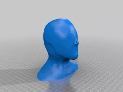 Human Head