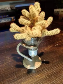 Light bulb E26 E27 holder