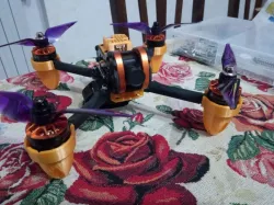 Motor protection + Landing Tyro99 Eachine