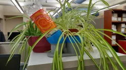 One Liter Bottle Hydroponic Pot