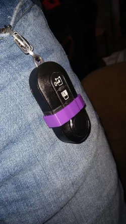 Promaster Keyfob Band