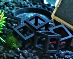 Shrimp Cube (hiding place)