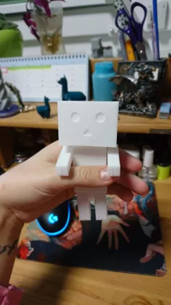 Amazon Box-Man
